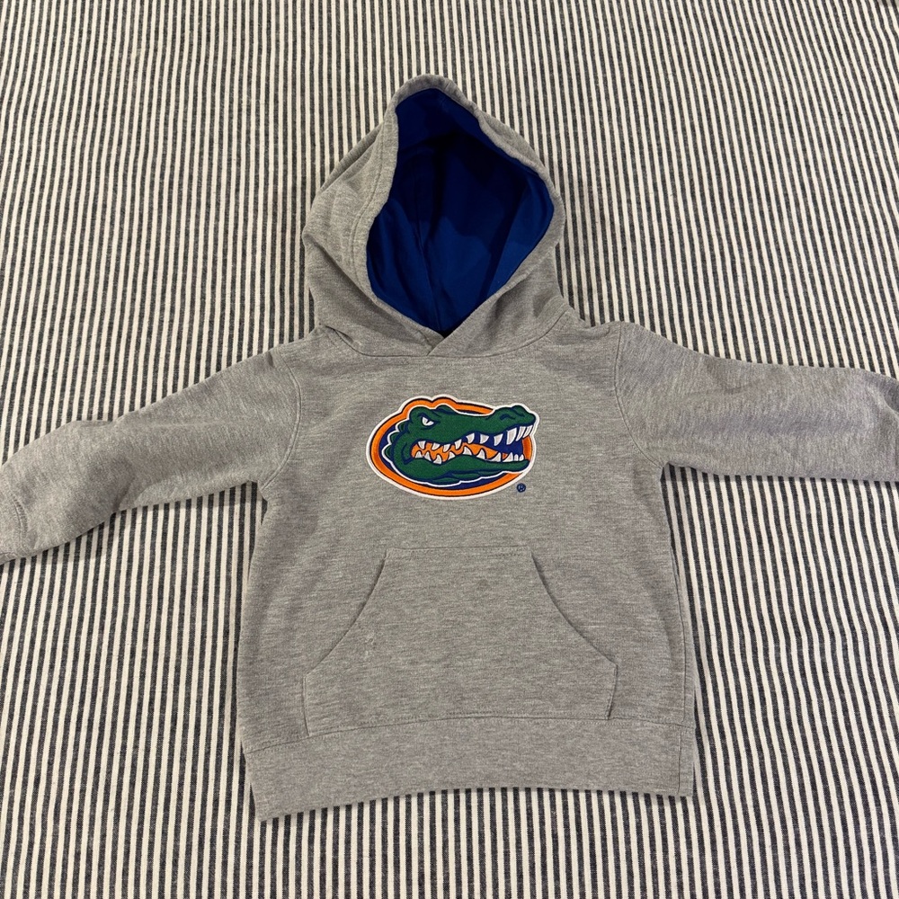 Gildan Gray and Blue Florida Gators Hoodie